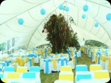 carpas-eventos